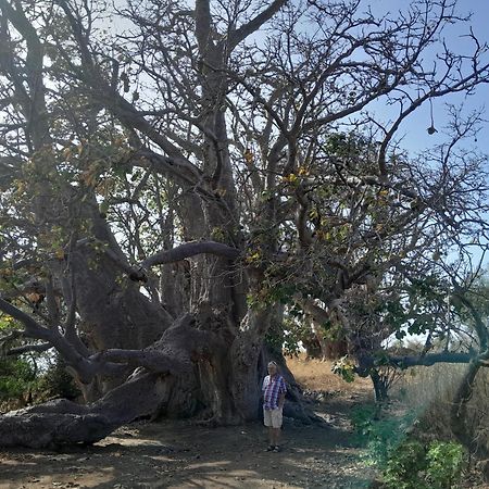 chez albino Villa São Filipe Kültér fotó